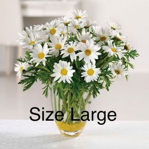 Women’s Size Large